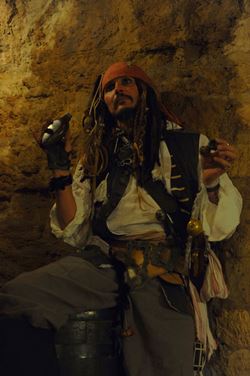 Johnny Depp,Captain Jack Sparrow